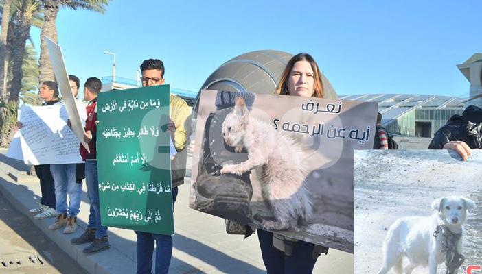 بالصور.. وقفة احتجاجية تنديدا  بقتل الحيوانات بشوارع الإسكندرية