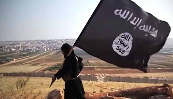 كاتب كندي: “تنظيم الدولة” يعاني من عدة أمراض لكنه لن يموت في 2016