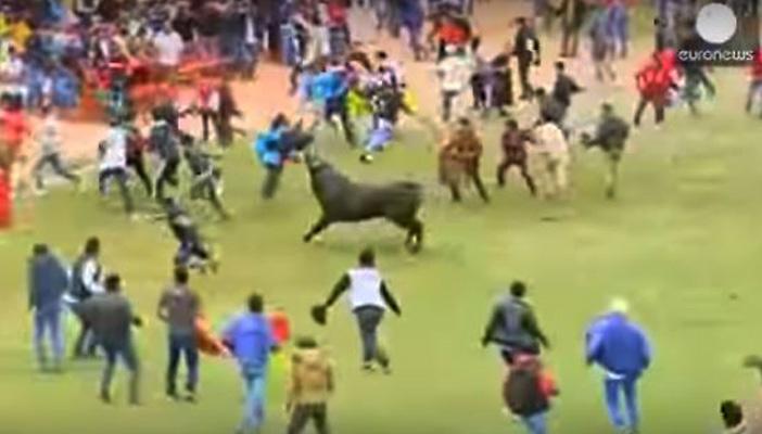 بالفيديو.. شاهد هجوم الثيران على الجمهور وإصابة 8 أشخاص في بيرو