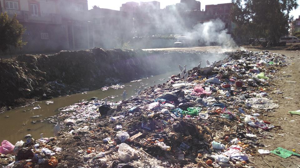 نرصد بالفيديو والصور.. معاناة أهالي السنطة بسبب المصارف الزراعية