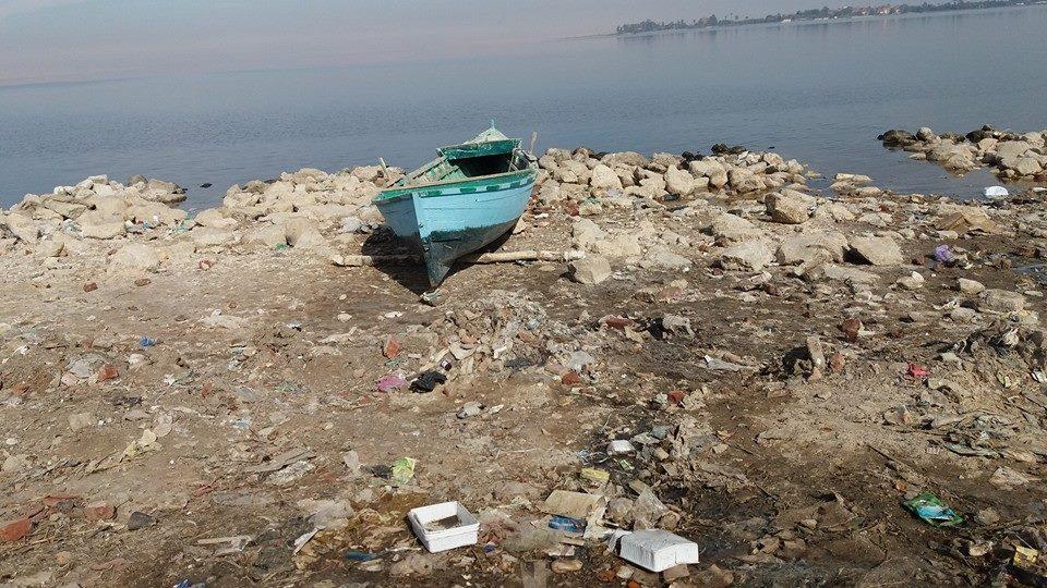 بالصور.. الثروة السمكية ببحيرة قارون مهددة بالانقراض