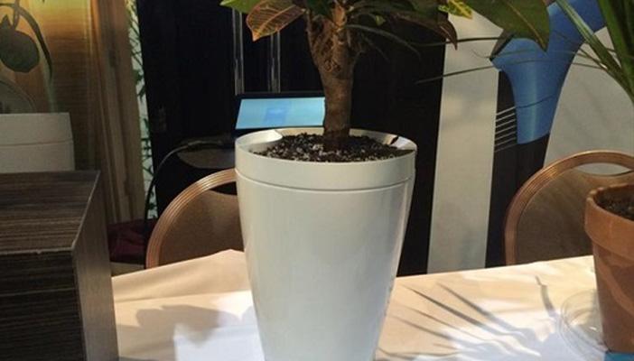 “حوض البغبغاء”.. أول حوض ذكي يروي النباتات تلقائيا