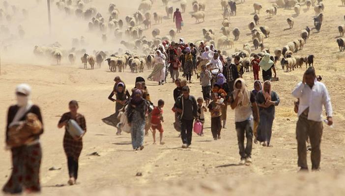 الطبطبائي: السنة في العراق تُهدم مساجدهم ويُقتلون على الهوية