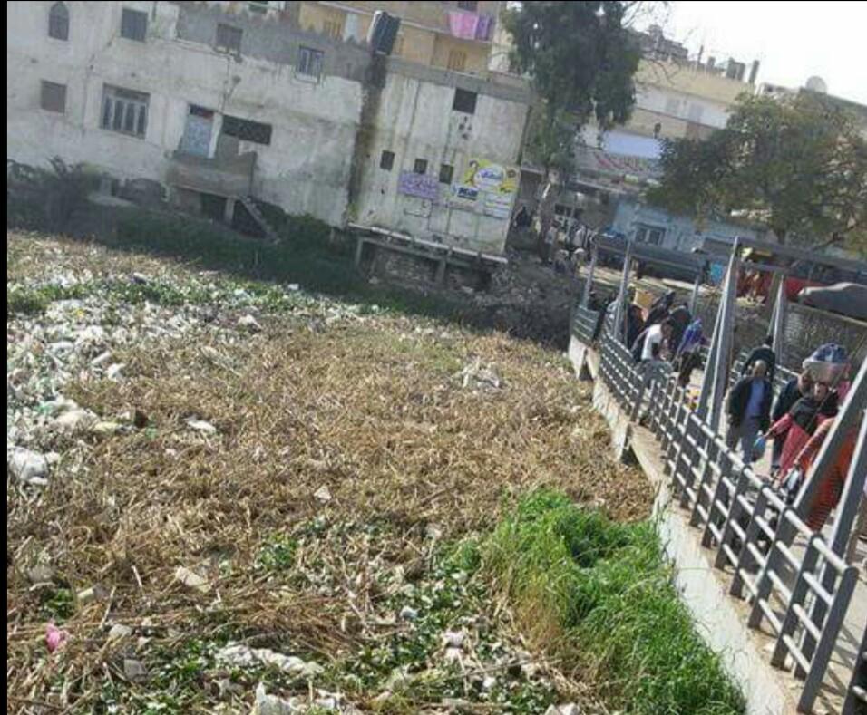 بالصور.. تلوث ترعة المحمودية كارثة تهدد آلاف المواطنين