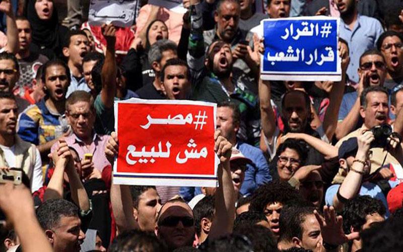 تيران وصنافير وطراطير وعصافير – وائل قنديل