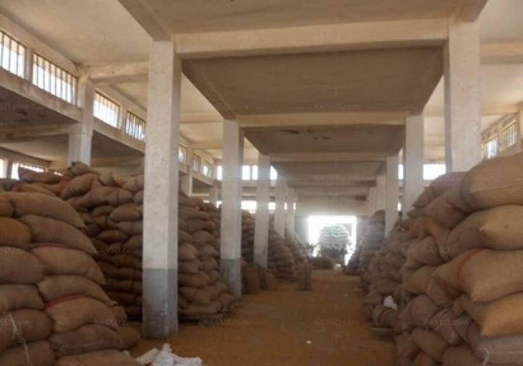 عجز 9 آلاف طن قمح بشونة متعاقدة مع الحكومة بالمنيا