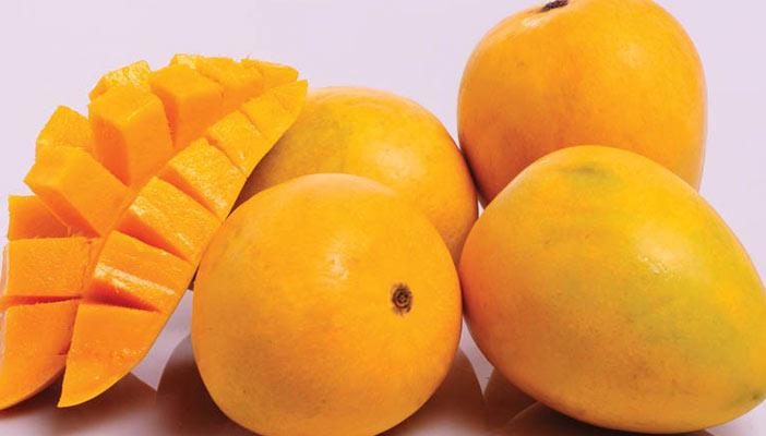 باحثة سعودية: المانجو بديل العلاج الكيماوي لعلاج سرطان الثدي