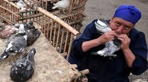 حميات دمنهور تستقبل أول حالة مصابة بإنفلونزا الطيور