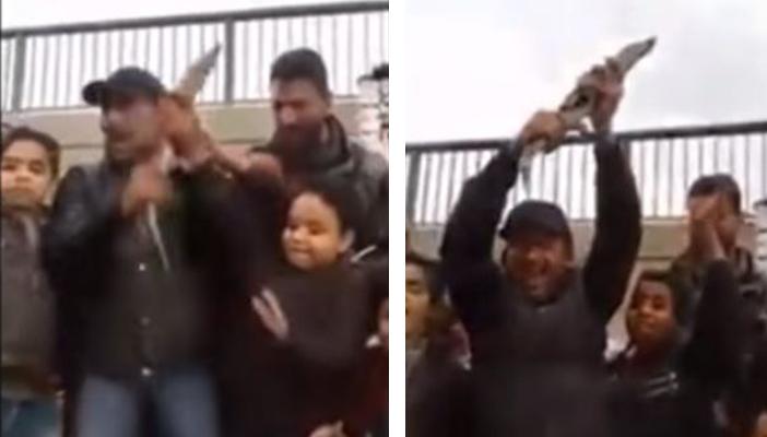 بالفيديو.. أهالي المطرية يصطادون تمساحًا من ترعة الإسماعيلية