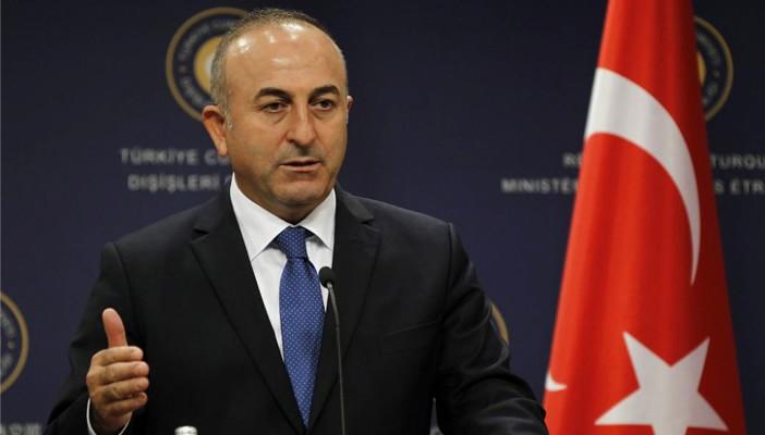 وزير الخارجية التركي: استقرار الدولة المصرية مهم لأنقرة