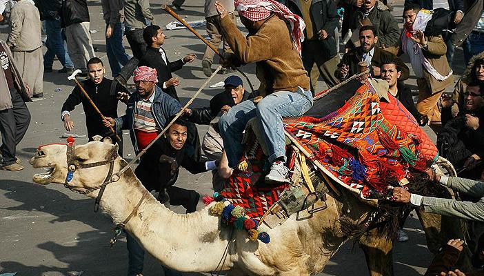 في ذكراها الخامسة.. بالفيديو.. شاهد 15 مقطعًا تكشف تفاصيل موقعة الجمل
