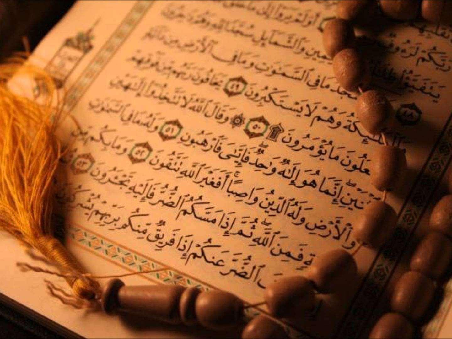 الدولة الإسلامية في القرآن الكريم: سورة النمل