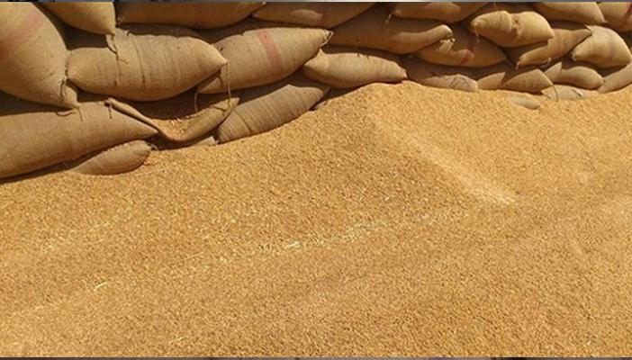بالتفاصيل.. 29 شحنة قمح مسرطن دخلت مصر خلال 12 عاما