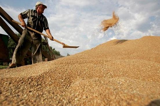 اتفاق مصري أمريكي على تنمية استيراد القمح
