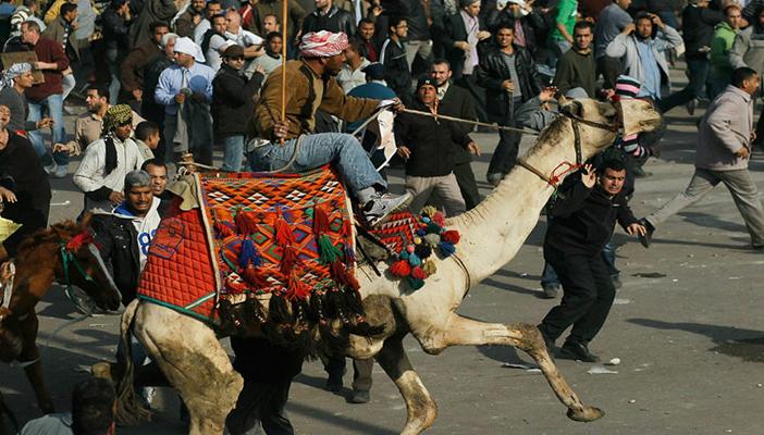 جَمَل المخابرات العسكرية