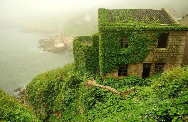 بالصور… قرية صينية تكسوها الطبيعة باللون الأخضر بعد رحيل سكانها