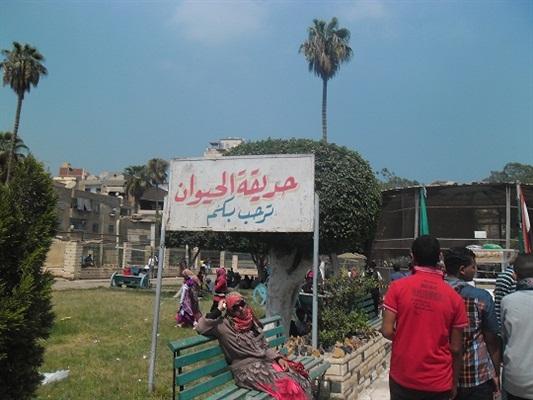 محافظ الدقهلية ينفي ما تردد عن بيع حديقة حيوان المنصورة