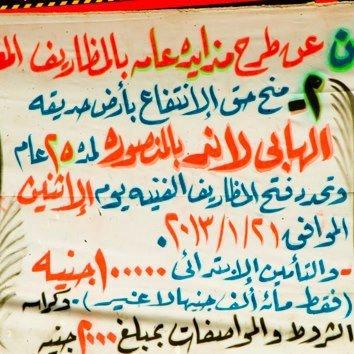 الحملة الشعبية بالدقهلية تدين طرح الحدائق العامة للاستغلال بحق الانتفاع