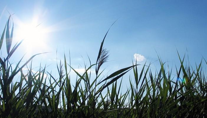 الأرصاد: تحسن في أحوال الطقس بدءًا من الغد