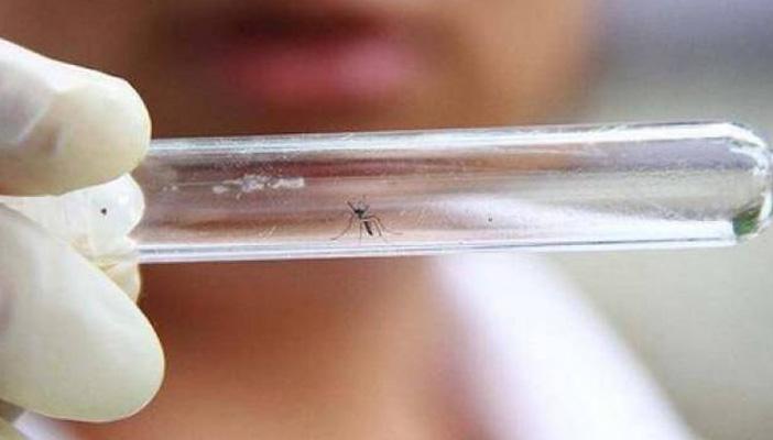 “الصحة” تعترف بظهور “فيروس زيكا” في محافظة أسيوط