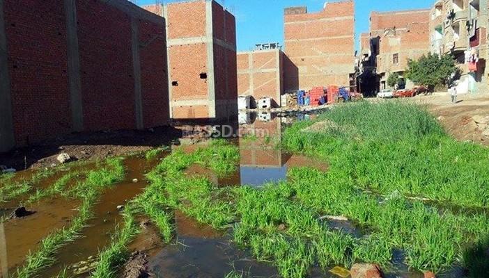 الصرف الصحي يغرق منازل مواطنين بالمحلة