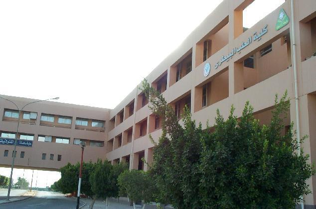 تواطؤ رعاية شباب جامعة المنوفية  ومجموعة طلاب للتلاعب في انتخابات الاتحاد