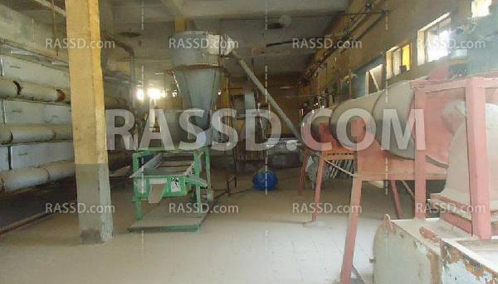 مصنع البصل بسوهاج.. ثروة قومية مهدرة وتشريد لآلاف العمال