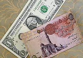 الدولار يرتفع قرشًا وسط استقرار للعملات العربية والأجنبية