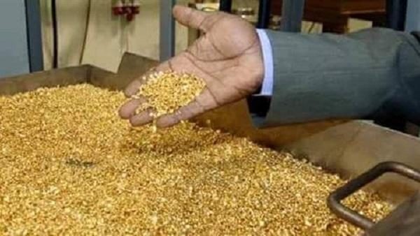 شركة السكري: نُصدِّر 400 كيلوجرام ذهب أسبوعيا من المنجم