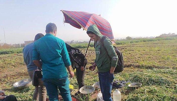 في حرم جامعة الأزهر بأسيوط.. فول “حراتي” وحمير