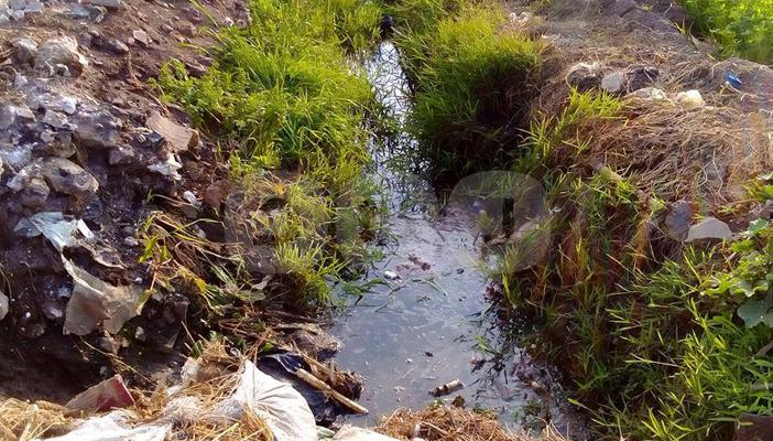 بالصور.. كارثة سد النهضة تؤثر على الزراعة والصيد في الدقهلية