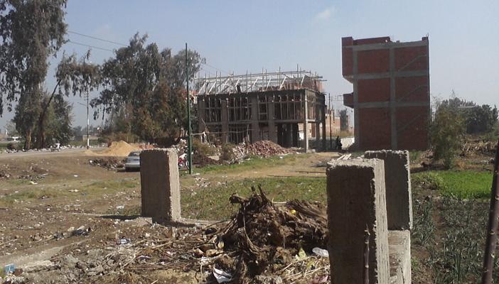 1.5 مليون حالة تعدٍّ على الأراضي الزراعية بمصر منذ ثورة يناير