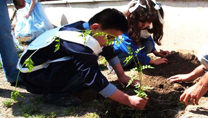 تعرف على أفضل النباتات التي يمكن للأطفال زراعتها