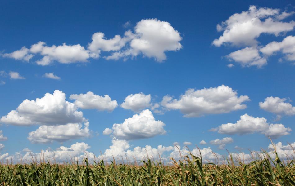 الأرصاد: طقس اليوم معتدل حتى شمال الصعيد.. القاهرة 23-15