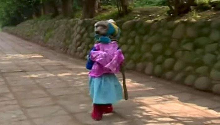 بالفيديو.. كلب بالصين يسير على قدمين ويتعامل مثل البشر