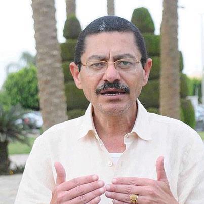 رفيق حبيب: لابد من استكمال معادلة الثورة