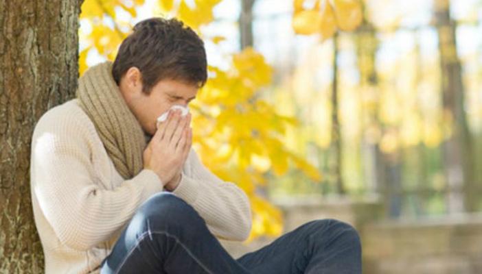 طرق طبيعية لعلاج حساسية الربيع