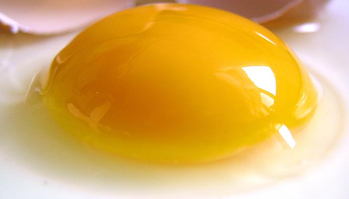 تطوير بلاستيك مضاد للبكتيريا من زلال البيض