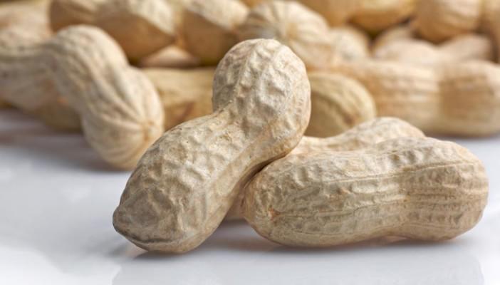 الفول السوداني يزيد من كفاءة الأوعية الدموية