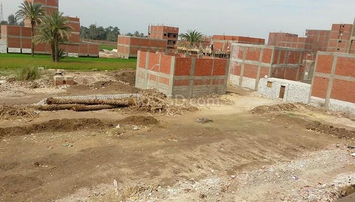 الزحف العمراني يهدد المساحات الخضراء في بني سويف