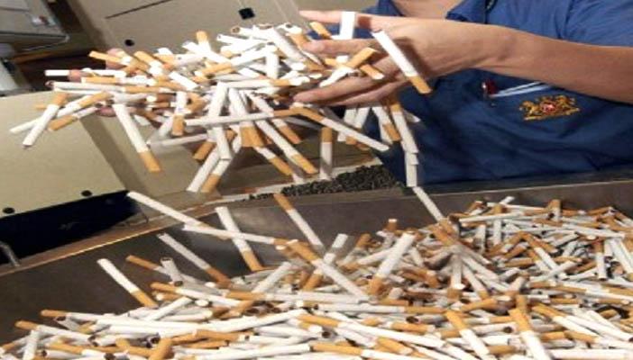 رابطة السجائر تطالب الحكومة بـ”تقنين زراعة الحشيش”