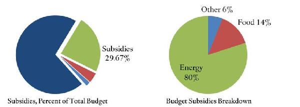 ستيفن كوك: هناك أزمة سيولة مالية محتملة بمصر
