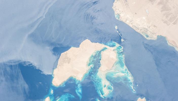 بعد التنازل عن جزيرتي تيران وصنافير.. نشطاء يسخرون من الزيارات الرسمية