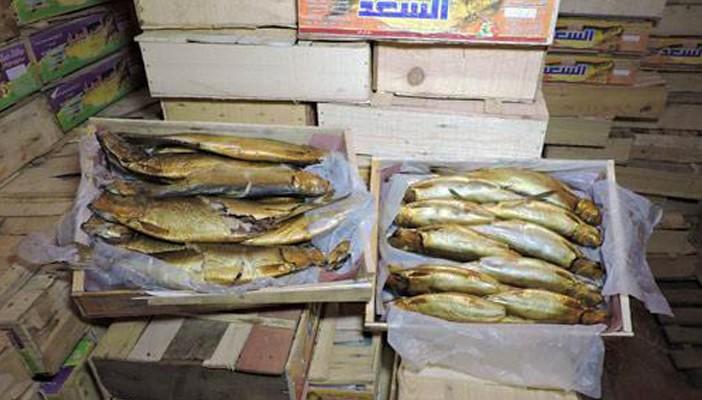 التموين: ضبط 24 طنًا من الرنجة والفسيخ منتهية الصلاحية