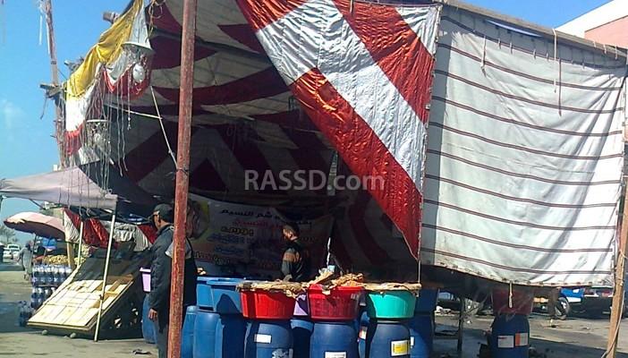 مع اقتراب شم النسيم.. ارتفاع أسعار الرنجة والفسيخ بأسواق بورسعيد