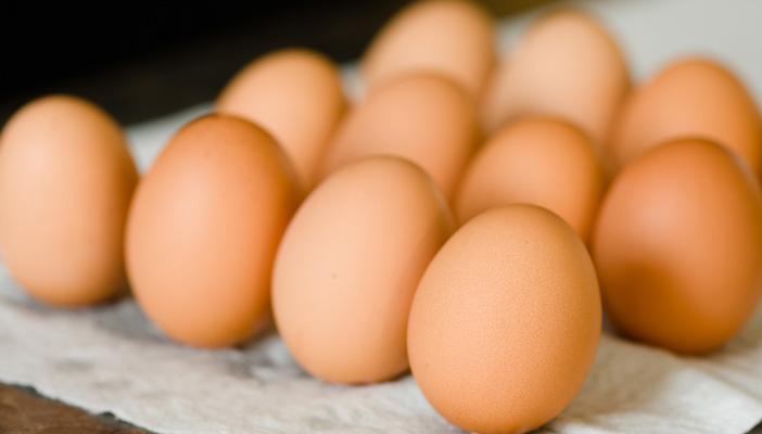 شعبة الدواجن: مصر تكتفي ذاتيا من البيض