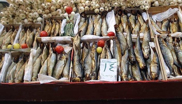 77 مليون جنيه تكلفة استيراد الرنجة في أعياد شم النسيم