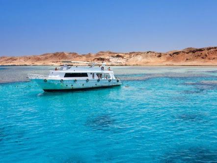 الحركات الثورية تحشد لـ25 إبريل وقافلة “تيران” تثير ردود الأفعال