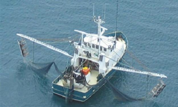 الخارجية:تعنت “الصيادين المحتجزين بالسعودية يُحبط الجهود المصرية