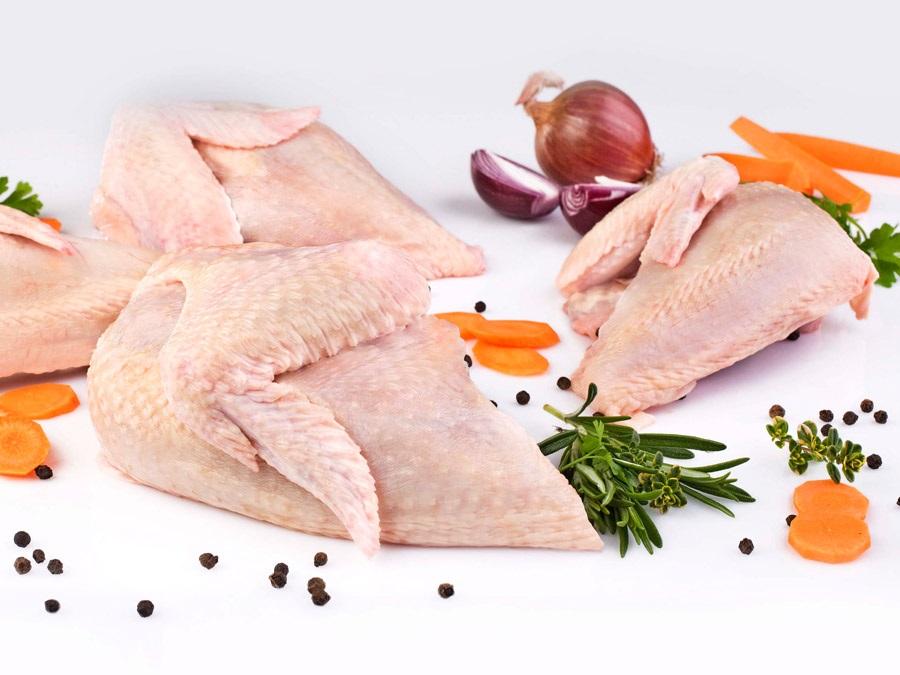 عبدالناصر سلامة ساخرا: ماذا عن صدور الدجاج؟